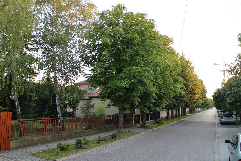 Villa Evelin Nyaralohaz Siófok Exterior foto